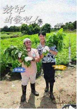 开口就是梗 免费综艺在线看
